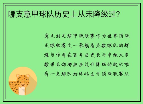 哪支意甲球队历史上从未降级过？